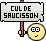 panneau_culdesaucisson